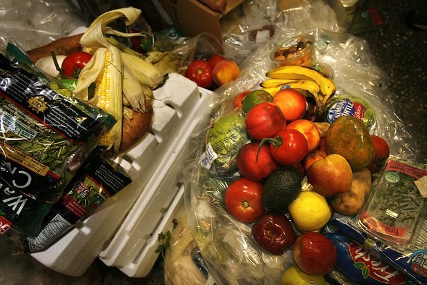 trashed fruits and veggies