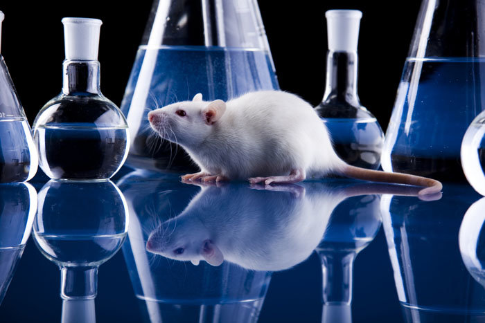 Click to enlarge vivisection