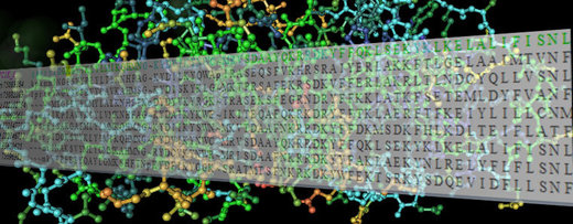 information theory