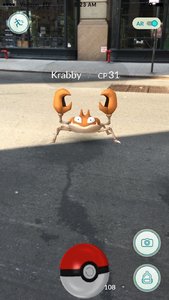 Click to enlarge pokemon go