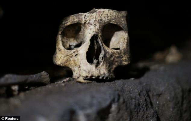 Click to enlarge Skull
