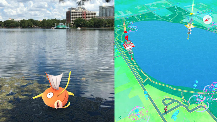 Click to enlarge Pokemon go app picture