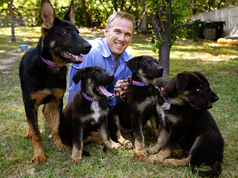 Click to enlarge cloned dogs