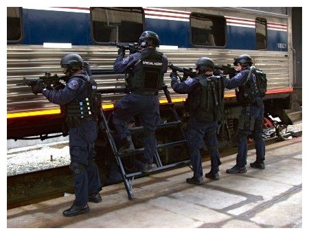 Click to enlarge SWAT Team