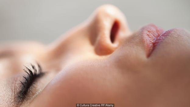 Click to enlarge Sense of smell