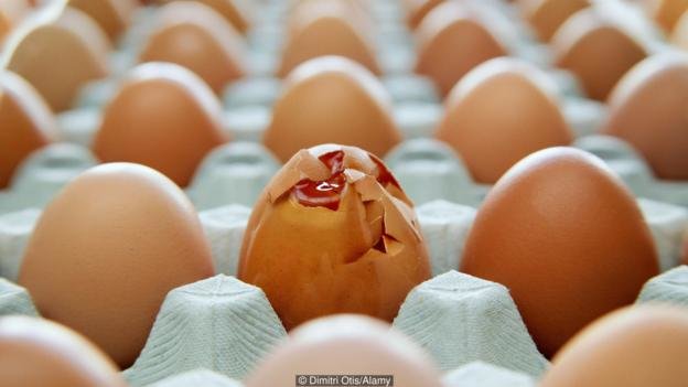 Click to enlarge cracked egg shell