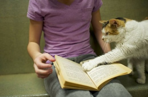 reading
