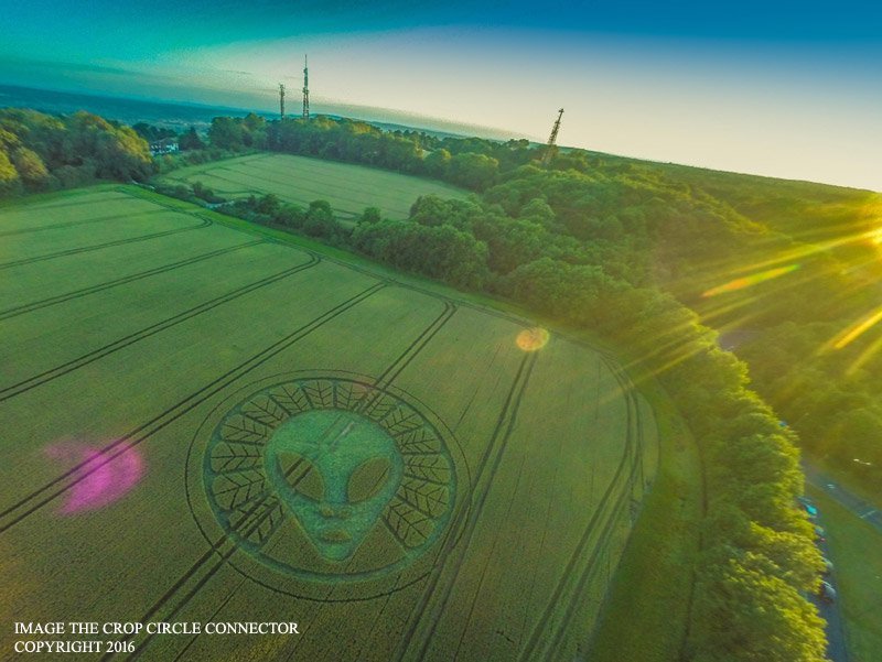 alien crop circle