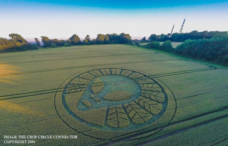 alien crop circle