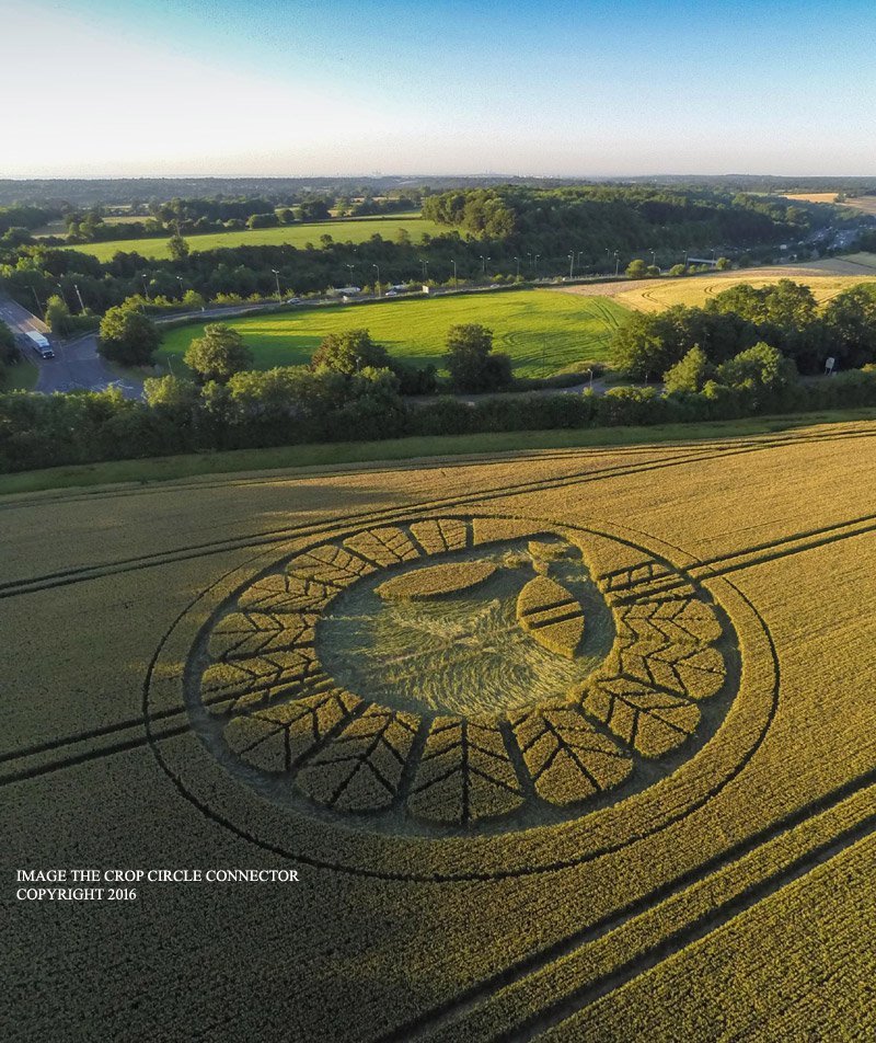 alien crop circle