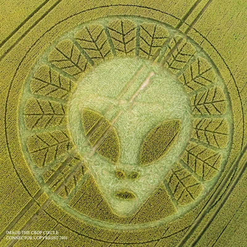 alien crop circle