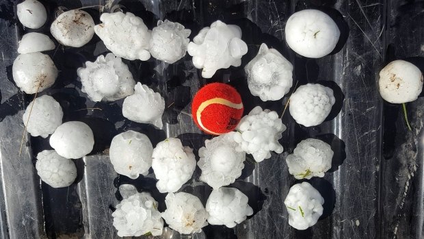 Ryan Wunsch posted this photo of tennis-ball-sized hail about 13 kilometres south of Tompkins, Sask., just after 5 p.m. CST on Tuesday. 