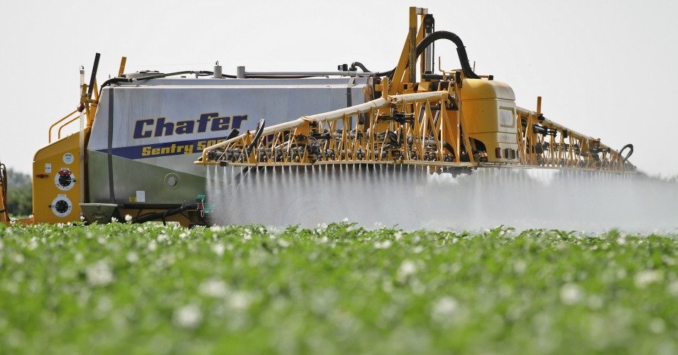 Click to enlarge toxic effects chemical mixtures