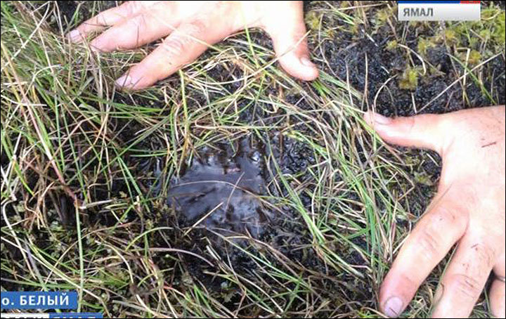 siberia methane bubble