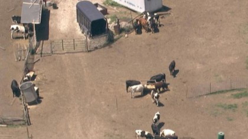 farm abuse