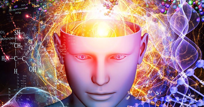 Click to enlarge brain chemicals, amygdala