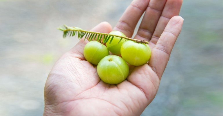 amla