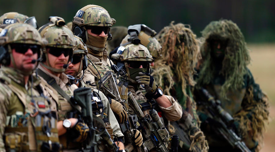 Poland's special commando unit