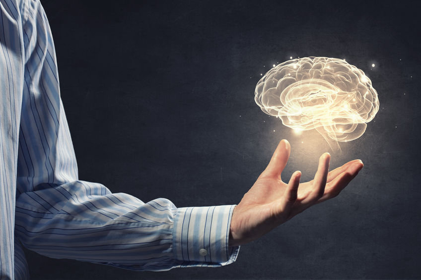brain