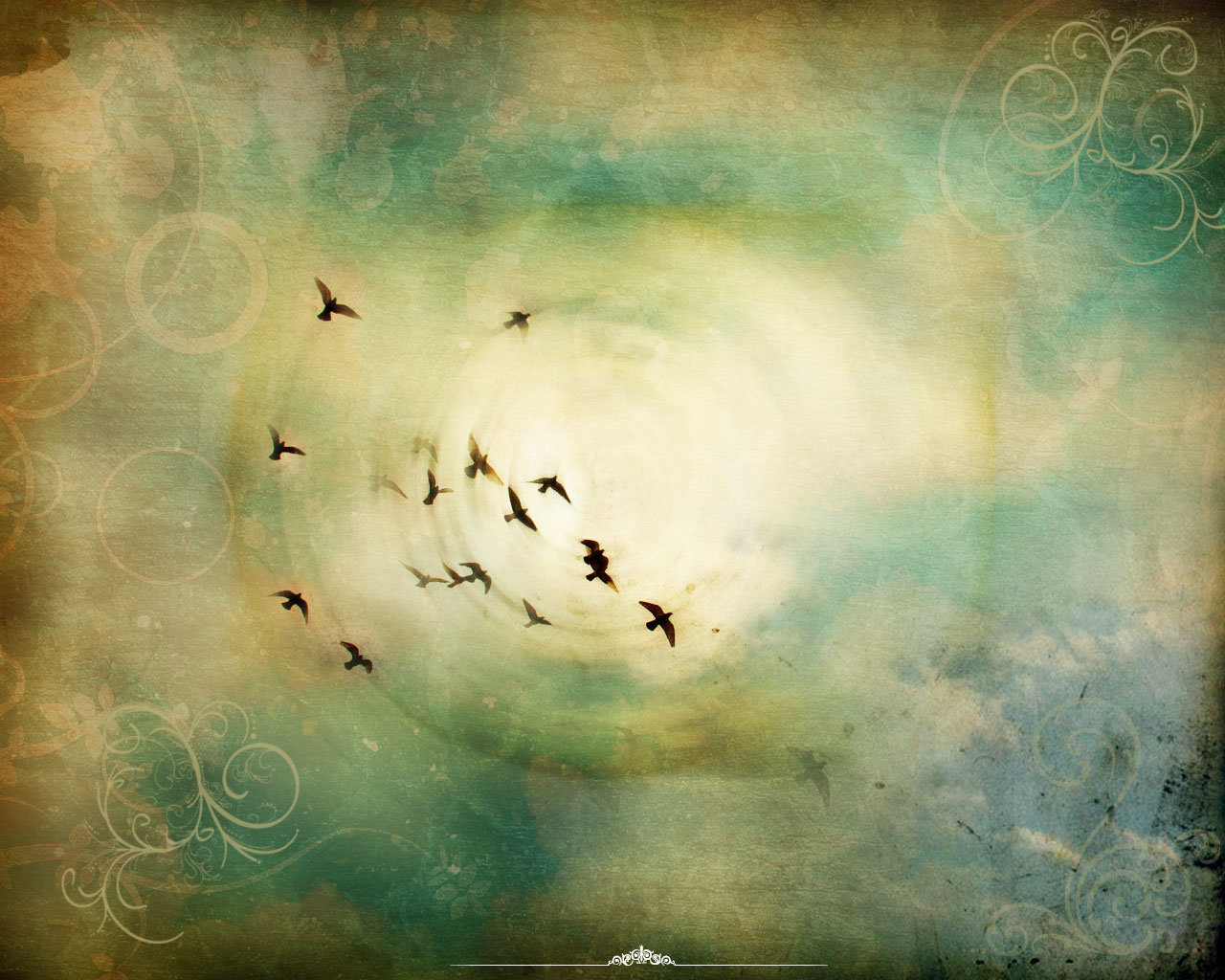 uncertainty, birds