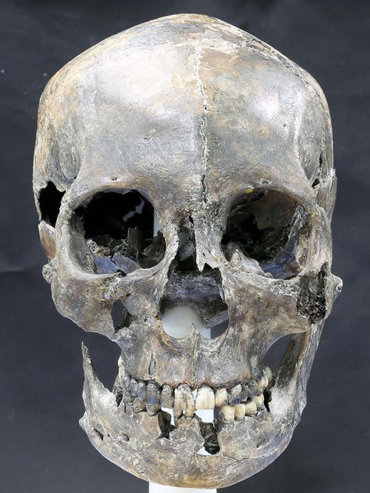 Click to enlarge skull