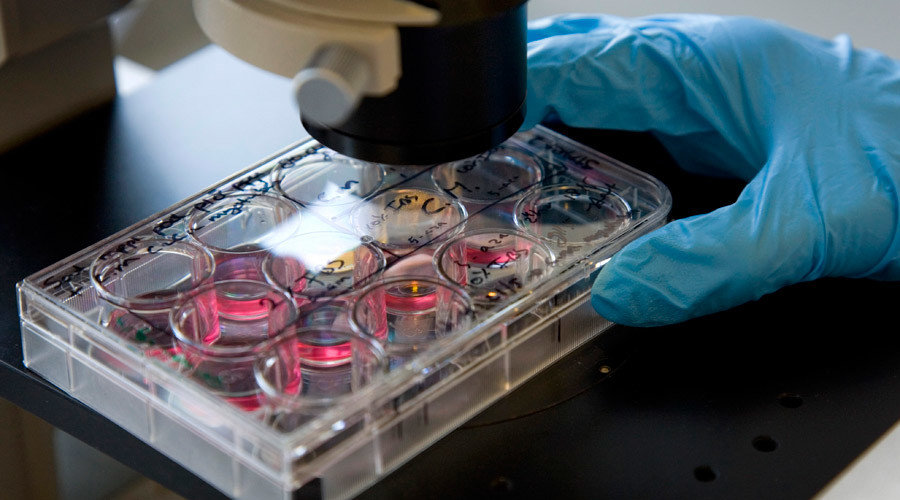 Microscope scanning specimens
