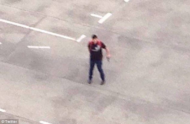 Click to enlarge Munick rooftop shooter
