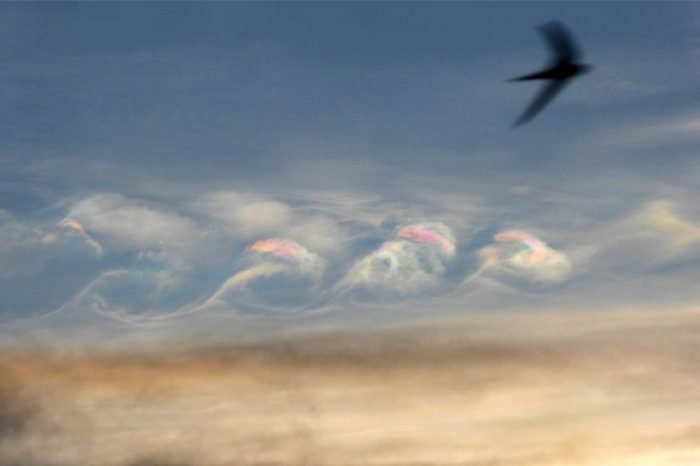 Click to enlarge iridescent cloud