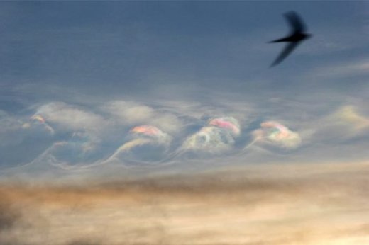 Click to enlarge iridescent cloud