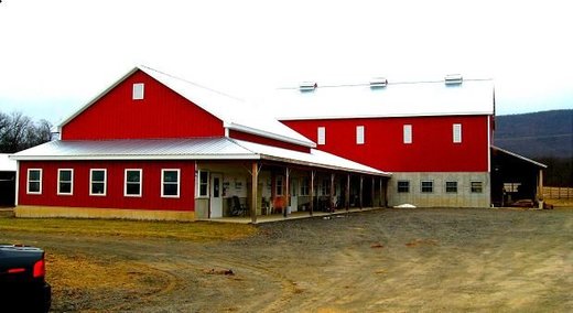 amish farmer