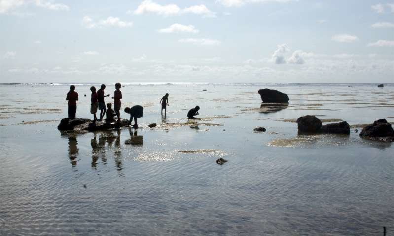 food sharing hunter-gatherers