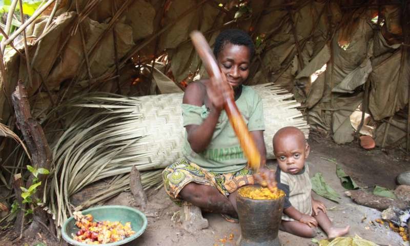 hunter gatherer food sharing