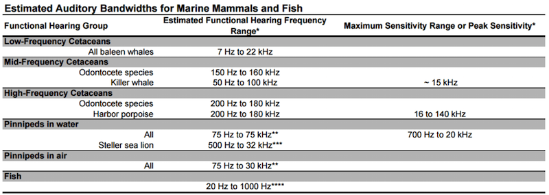 Click to enlarge cetaceans chart