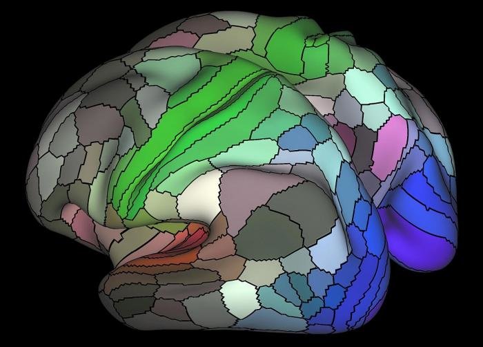 Click to enlarge brain map