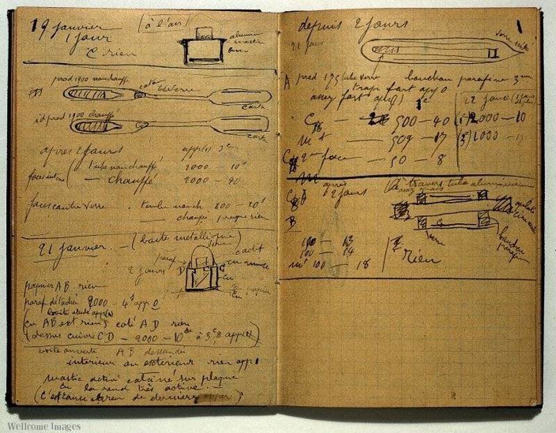 Madame Curie notebook