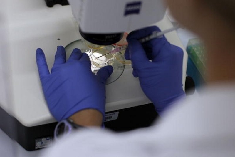 Gene Editing