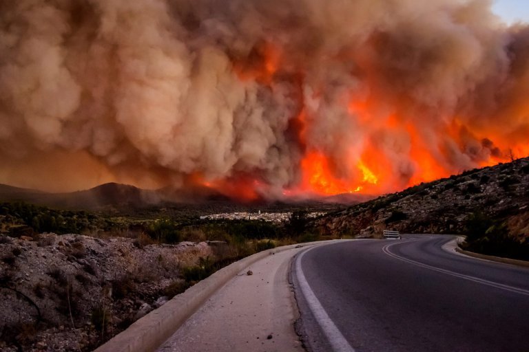 A large number of mastic trees were burned at the villages of Mesta, Armolia and Pyrgi