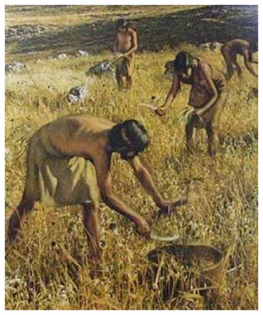 First Farmers