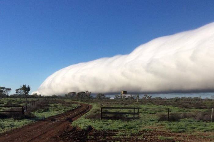  Roll cloud also known as the Morning Glory