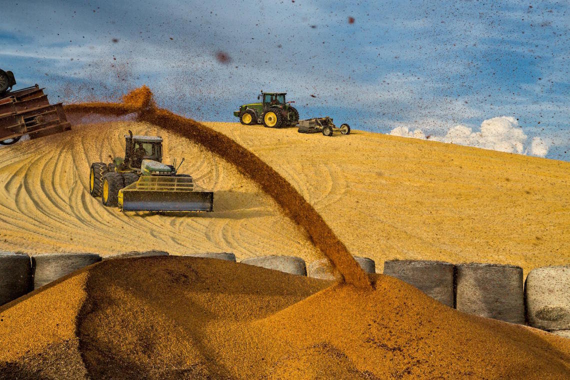 corn nebraska