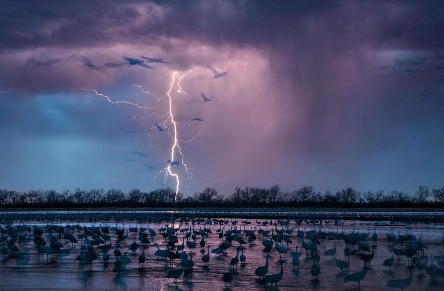 wood river nebraska