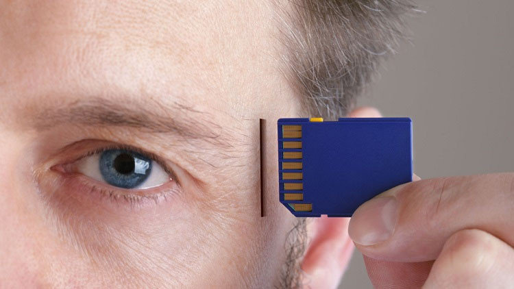 brain chip