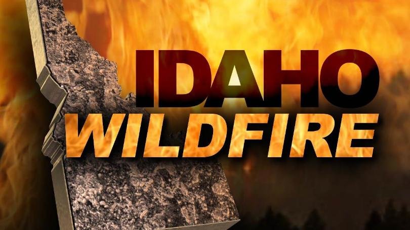 wildfire 