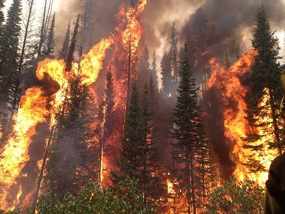 Wildfire Idaho
