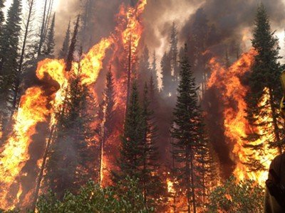 Click to enlarge Wildfire Idaho
