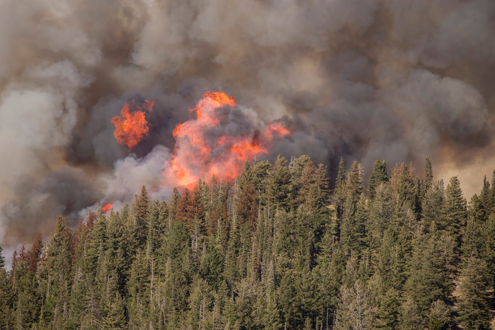 Wildfire Idaho