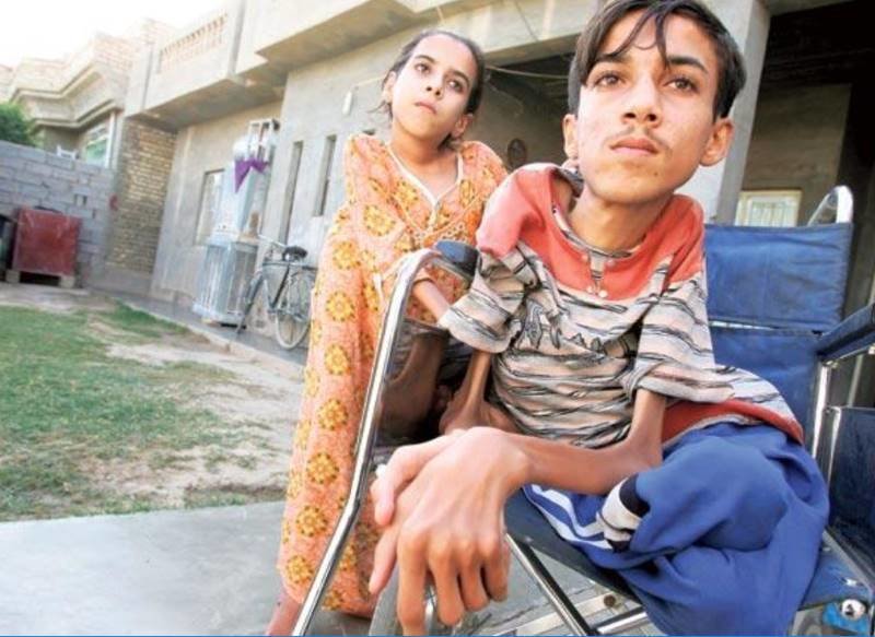 Click to enlarge fallujah toxicity