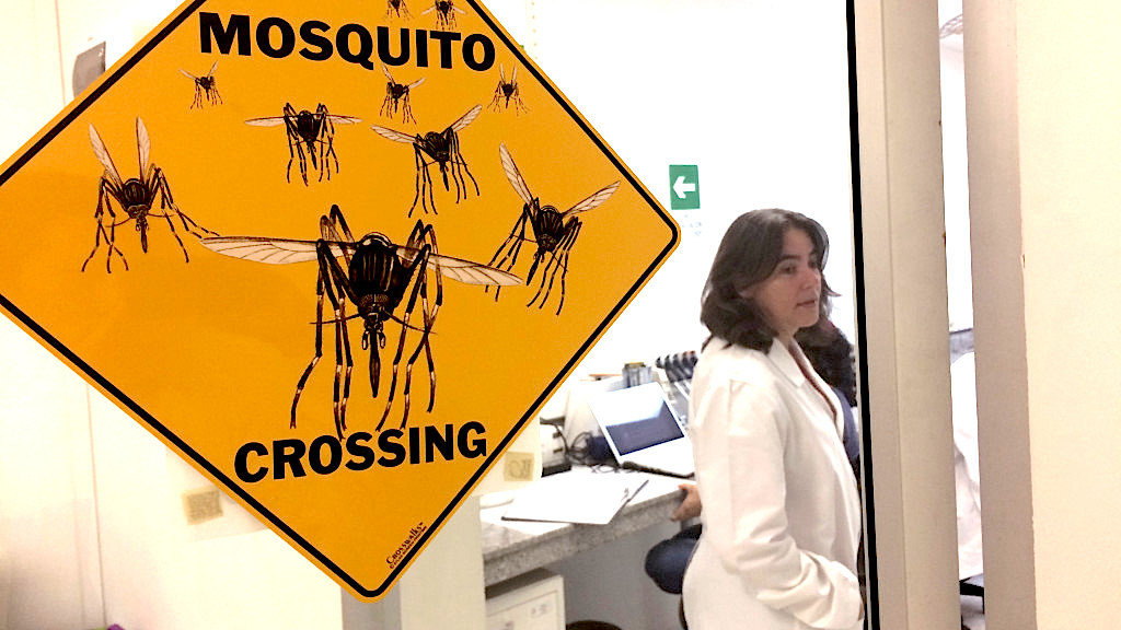 Mosquito sign