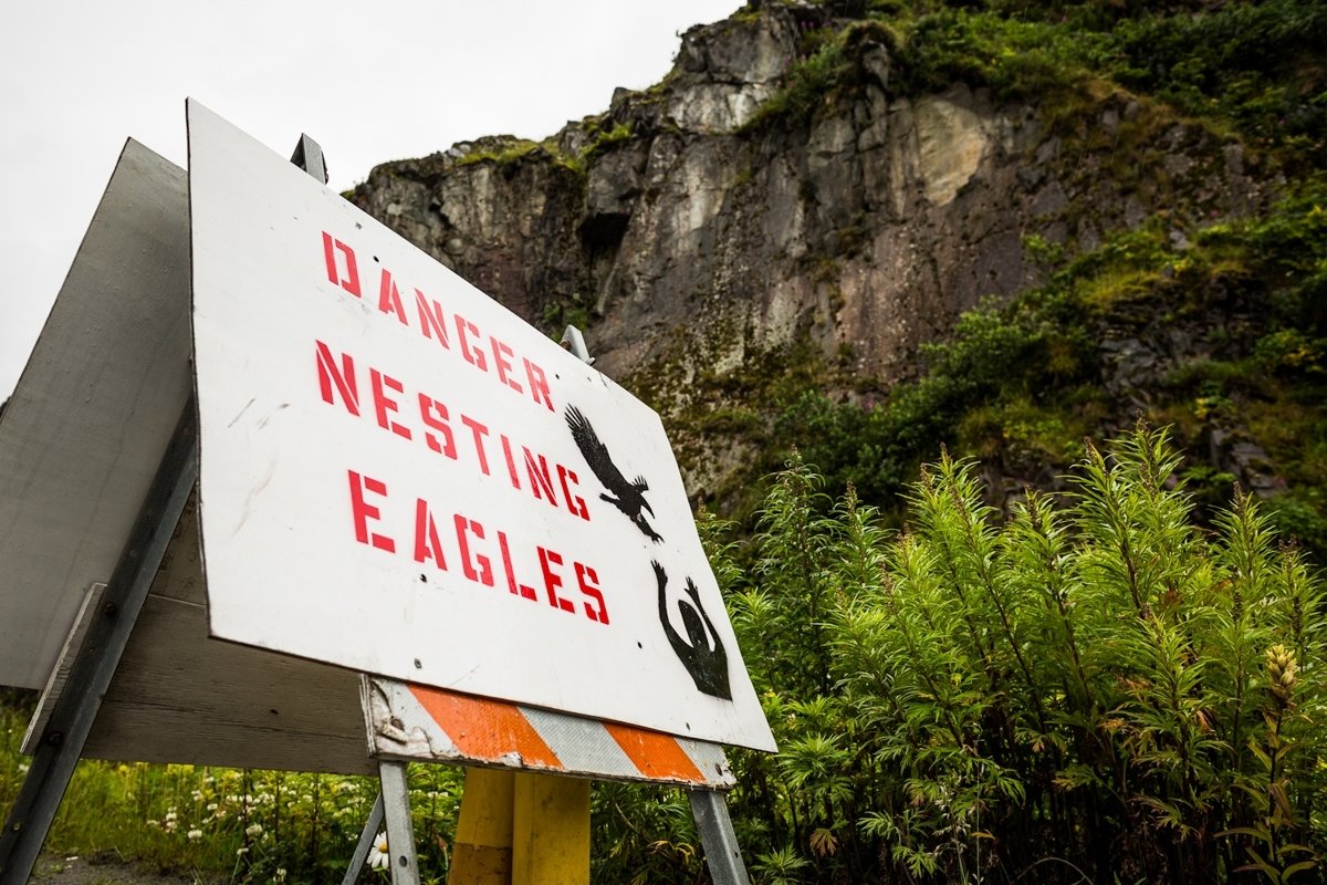 Click to enlarge eagle sign