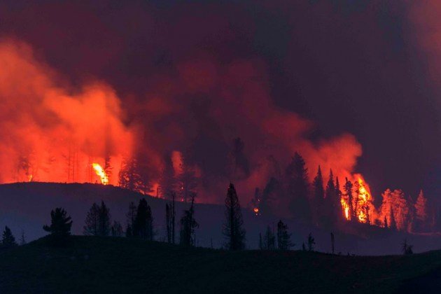 Click to enlarge Wildfire
